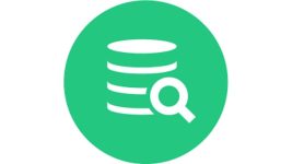 DB Visualizer Logo