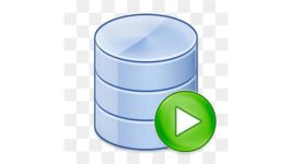 SQL Developer Logo