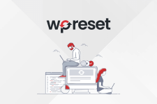 WP reset