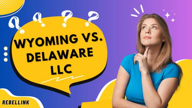 Wyoming vs. Delaware LLC