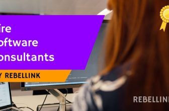 Hire Software Consultants