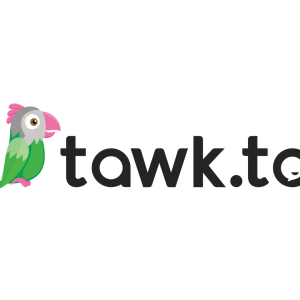 Tawk.to Review