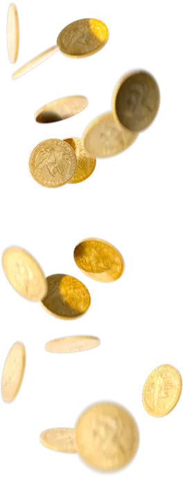 System Page 25 coins