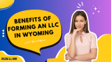 Benefits Of Forming An LLC In Wyoming