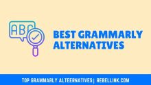 15+ Best Grammarly Alternatives For Flawless Content Writing