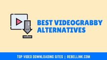 11+ Best VideoGrabby Alternatives | Download Online Videos With Ease