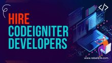Hire CodeIgniter Developers. Best Sites To Hire Freelance CodeIgniter Developers.