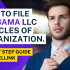 How To File Massachusetts LLC Articles of Organization