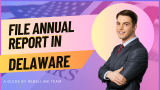 Delaware Annual Report. How To File An LLC Annual Report In Delaware