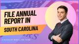South Carolina Annual Report. How To File An LLC Annual Report In South Carolina.