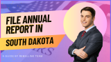 How To File An LLC Annual Report In South Dakota. Step By Step Guide By RebelLink Team