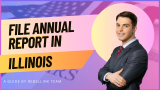 Illinois Annual Report. How To File An LLC Annual Report In Illinois.