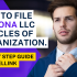 How To File Nevada LLC Articles of Organization