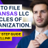 How To File Delaware LLC Articles Of Organization.