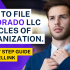 How To File Virginia LLC Articles Of Organization.