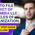 How To File Michigan LLC Articles of Organization