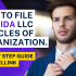 How To File Georgia LLC Articles Of Organization.