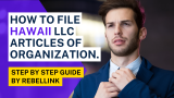 How To File Hawaii LLC Articles of Organization