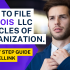 How To File North Dakota LLC Articles of Organization