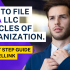 How To File Ohio LLC Articles of Organization