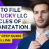 How To File Nevada LLC Articles of Organization