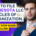 How To File Arkansas LLC Articles Of Organization