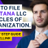 How To File Oklahoma LLC Articles Of Organization