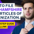 How To File South Dakota LLC Articles Of Organization.