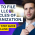 How To File Alaska LLC Articles of Organization