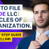 How To File Kansas LLC Articles Of Organization.