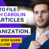 How To File Illinois LLC Articles of Organization