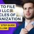 How To File Alaska LLC Articles of Organization