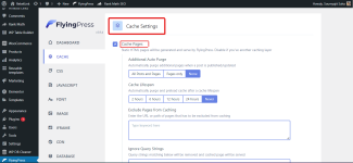 FlyingPress Page Caching