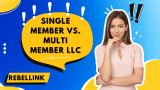 Single Member LLC vs. Multi Member LLC: Which Is Better?