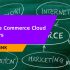 Hire SEO Developers. Best Sites To Hire SEO Developers.