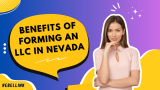 Benefits Of Starting An LLC In Nevada: Discover The Tax Benefits