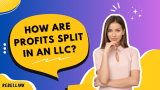 How Are Profits Split In An LLC? Profit Sharing Explained