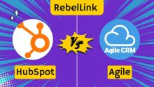 HubSpot CRM vs. Agile CRM: An In-Depth CRM Comparison | Which Platform Is Right For You In 2024?