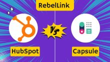 Hubspot CRM vs. Capsule CRM: An In-Depth CRM Comparison | Which CRM To Choose For Your Business In 2024?