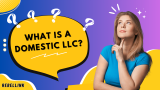 Domestic LLC Formation Process