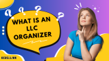 LLC Organizer: What Are The Duties, Responsibilities, Benefits And More
