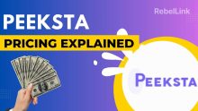 Peeksta Pricing Plans Explained. Choose The Perfect Plan for Your Needs
