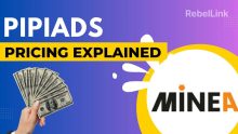 Pipiads Pricing Plans Explained. Choose The Perfect Plan for Your Needs