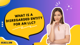What is a Disregarded Entity for an LLC?