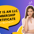 LLC Organizer: What Are The Duties, Responsibilities, Benefits And More